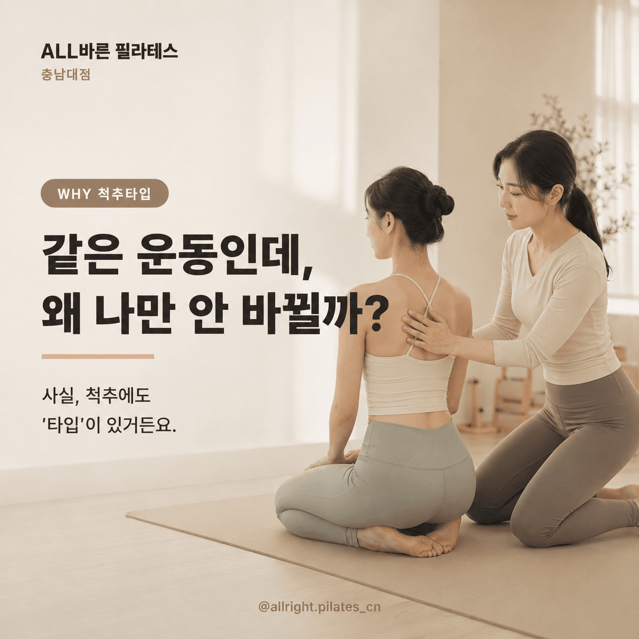 척추교정