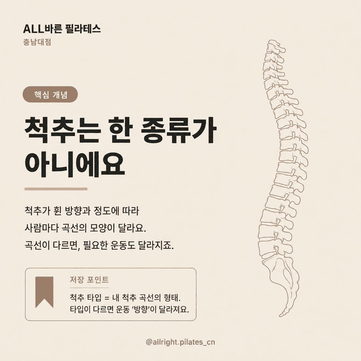 척추교정 3